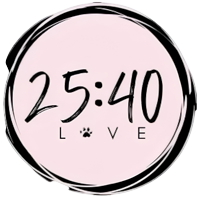 25:40 Logo