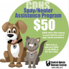 CDHS-spay-neuter-assistance-program-small.png Image